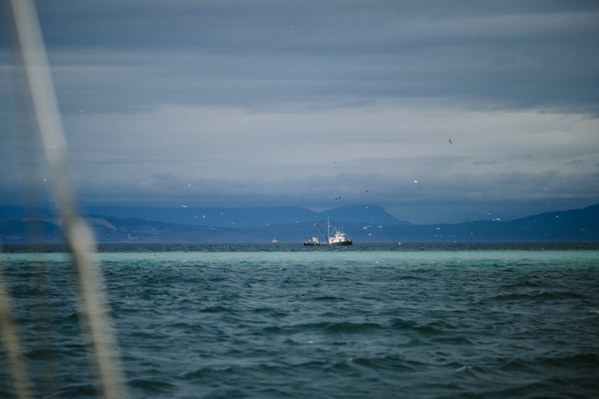 Baynes Sound, 7 Mar 2026