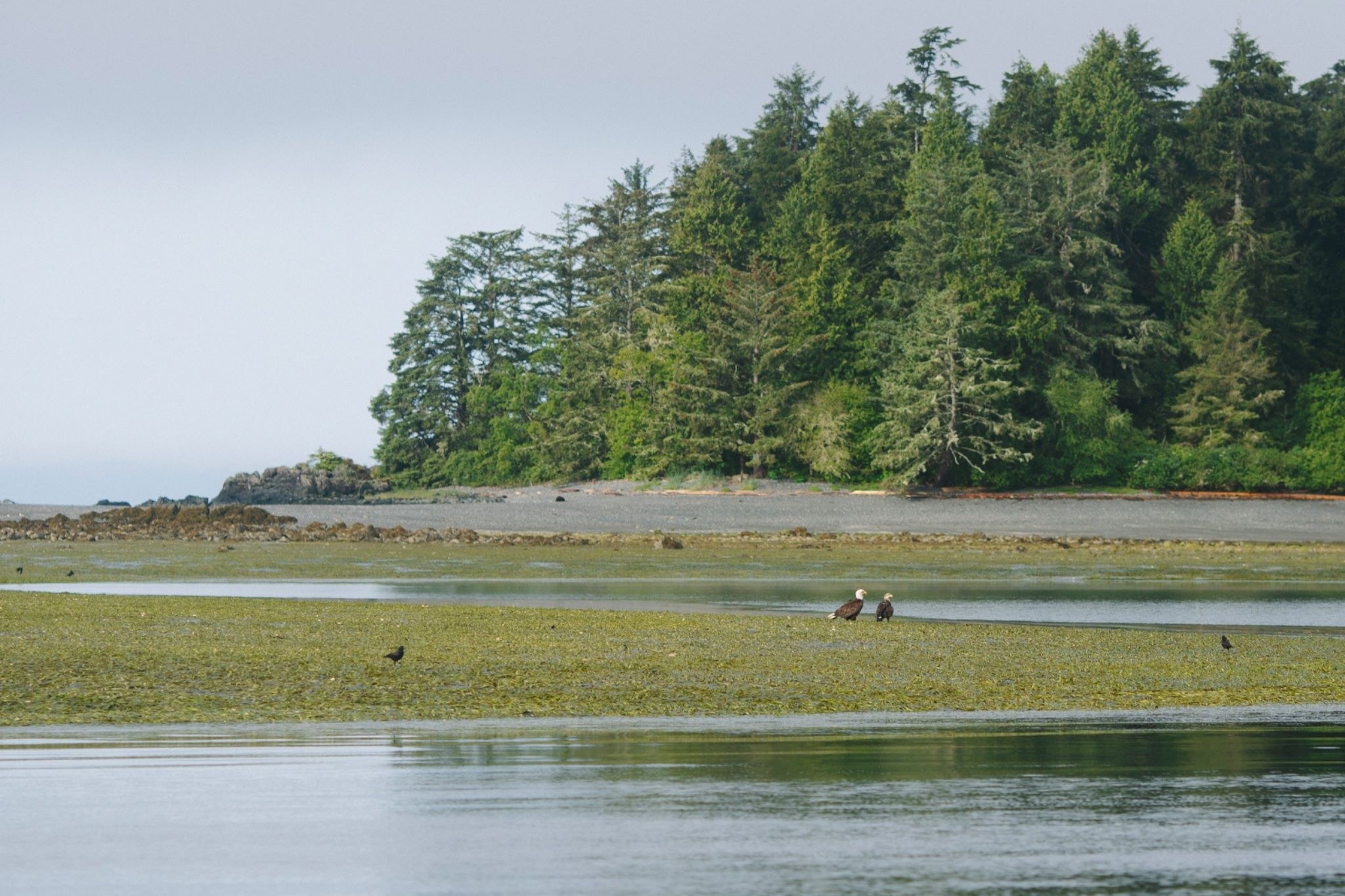 To Louie Bay, 19 May 2026